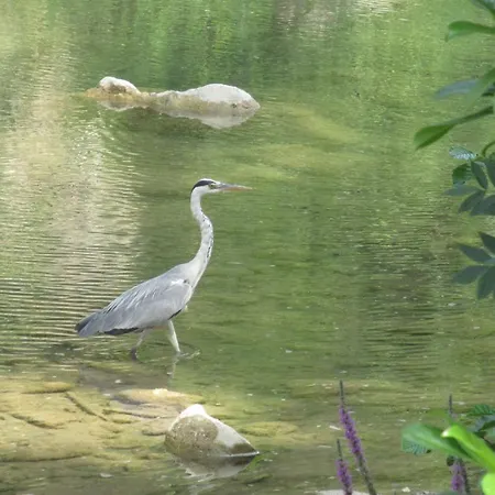 Kioui Отель типа 